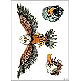 GS912 Tattoo 8.2''X5.7'' Flying bird American Eagle Large Temporary Tattoos Sticker Transfer for Man Women Teens Painting Designs Body Art 3D Waterproof fashion Art Fake Body (13)