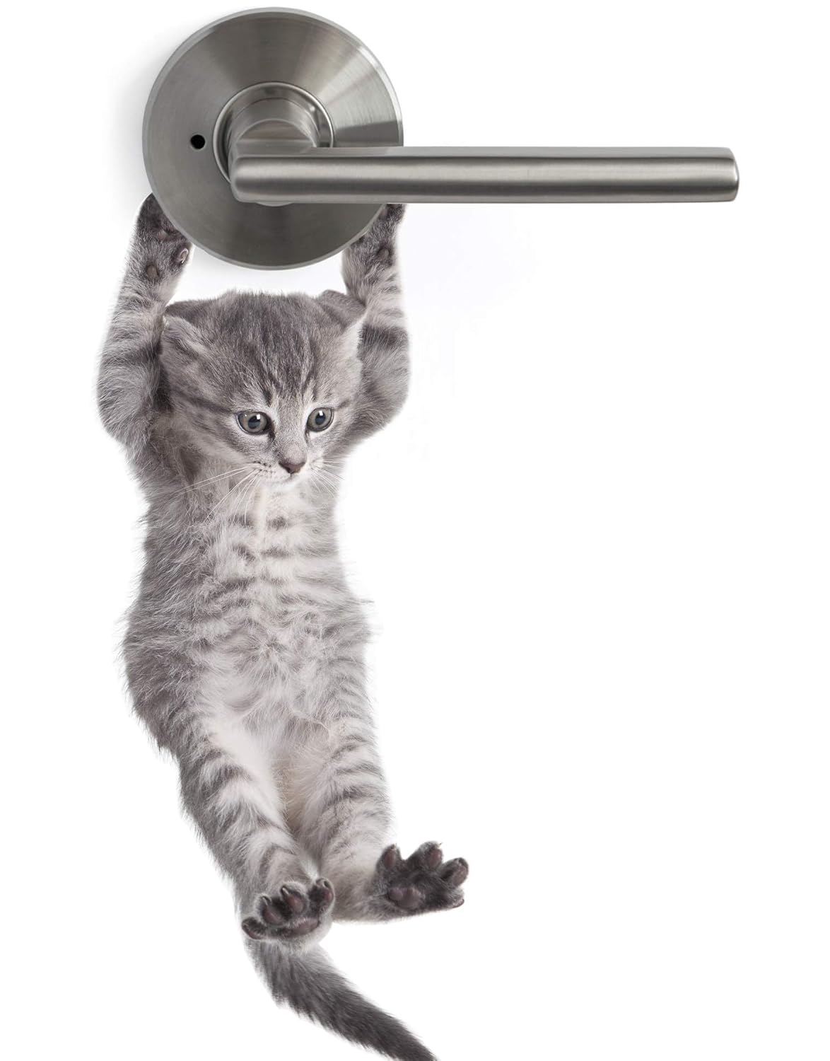 Cute Hanging Baby Kitten cat Door Decal Sticker #6067A