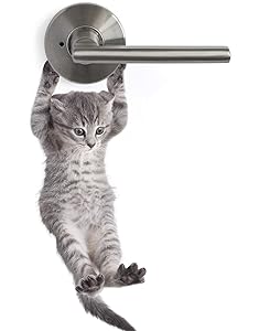 Cute Hanging Baby Kitten cat Door Decal Sticker #6067A