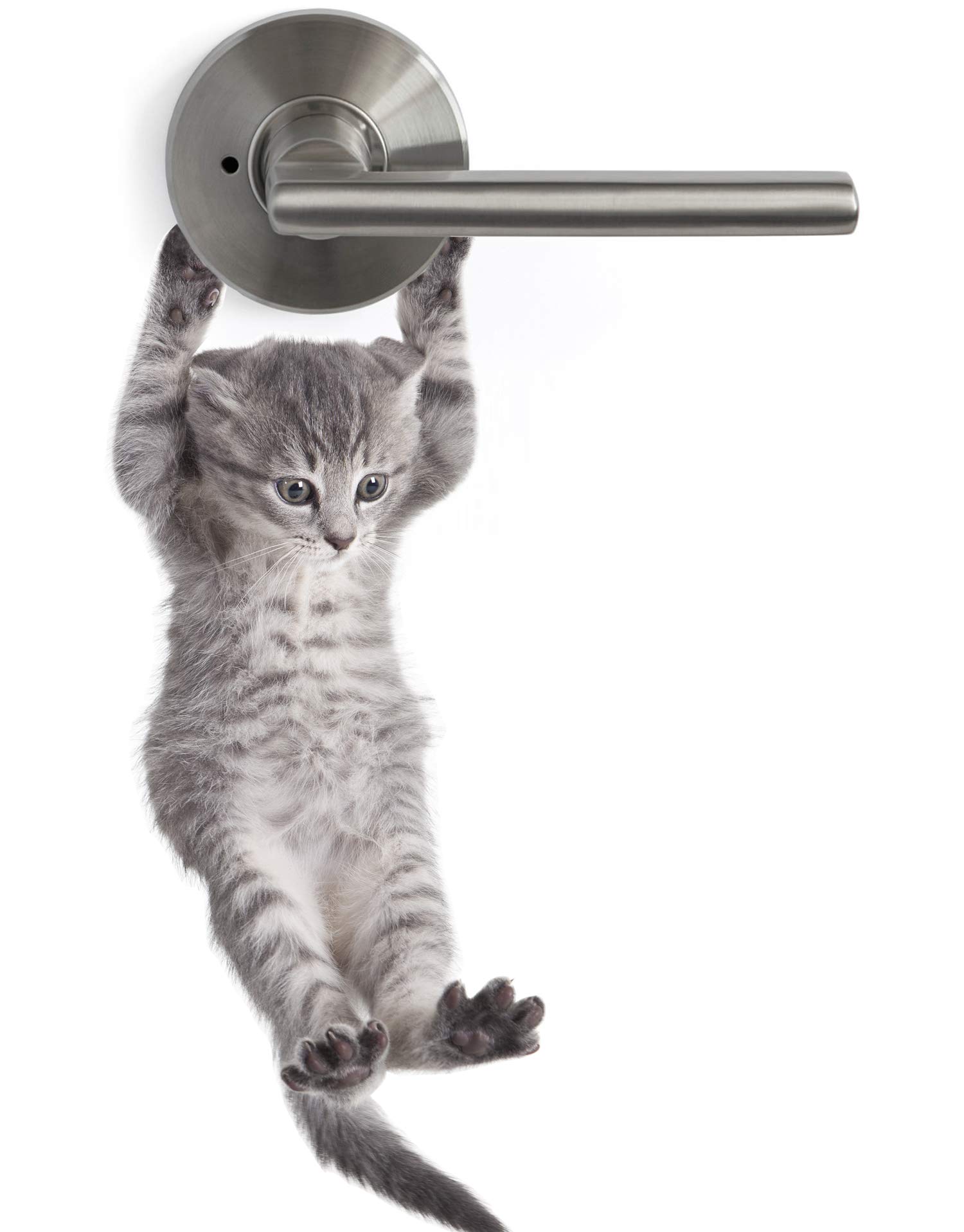 Photo 1 of Cute Hanging Baby Kitten cat Door Decal Sticker #6067A