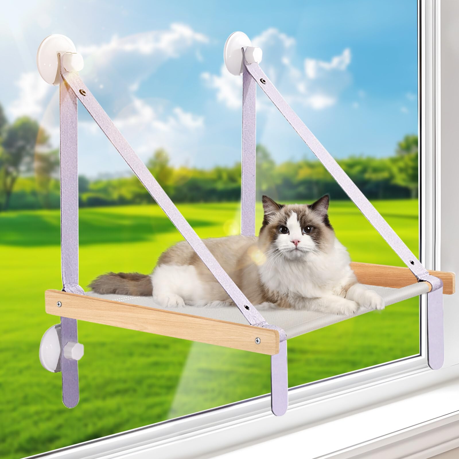 Yuehuamech Cat Window Perch Hammock Foldable Mounted Cat Bed Shelves with 4 Suction Cups for Indoor Cats Kittens, Up to 33lbs