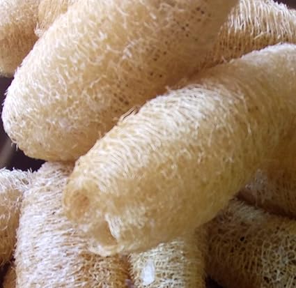 Vaibhav Natural Body Scrubber Loufah Sponge (6-inch) -5 Pieces