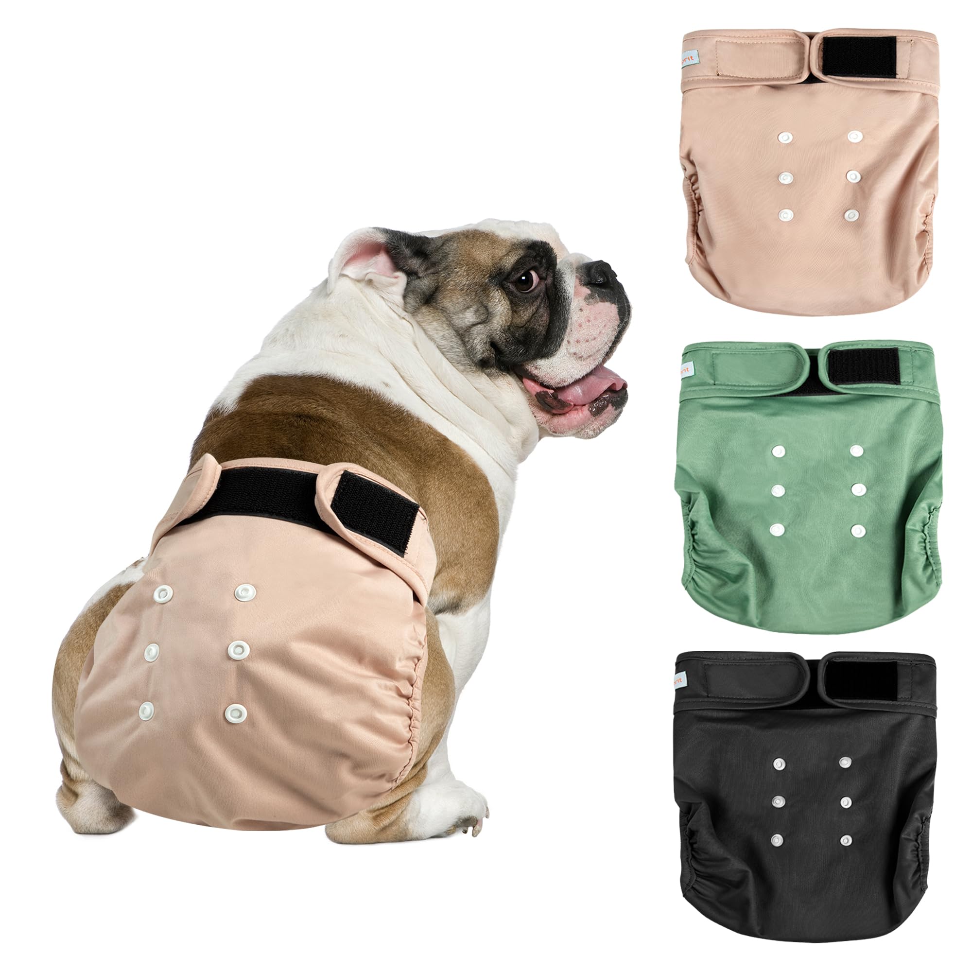 Photo 1 of Langsprit Frenchie Female Dog Diapers No Tail Hole,Reusable Puppy French Bulldog Diapers Female for Period Heat,Washable Doggy Doggie Diapers for Female Dogs Small Medium Large Size?Medium?