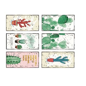 Amazon Com Finance Plan The Latest 6pcs Set Lovely Cactus