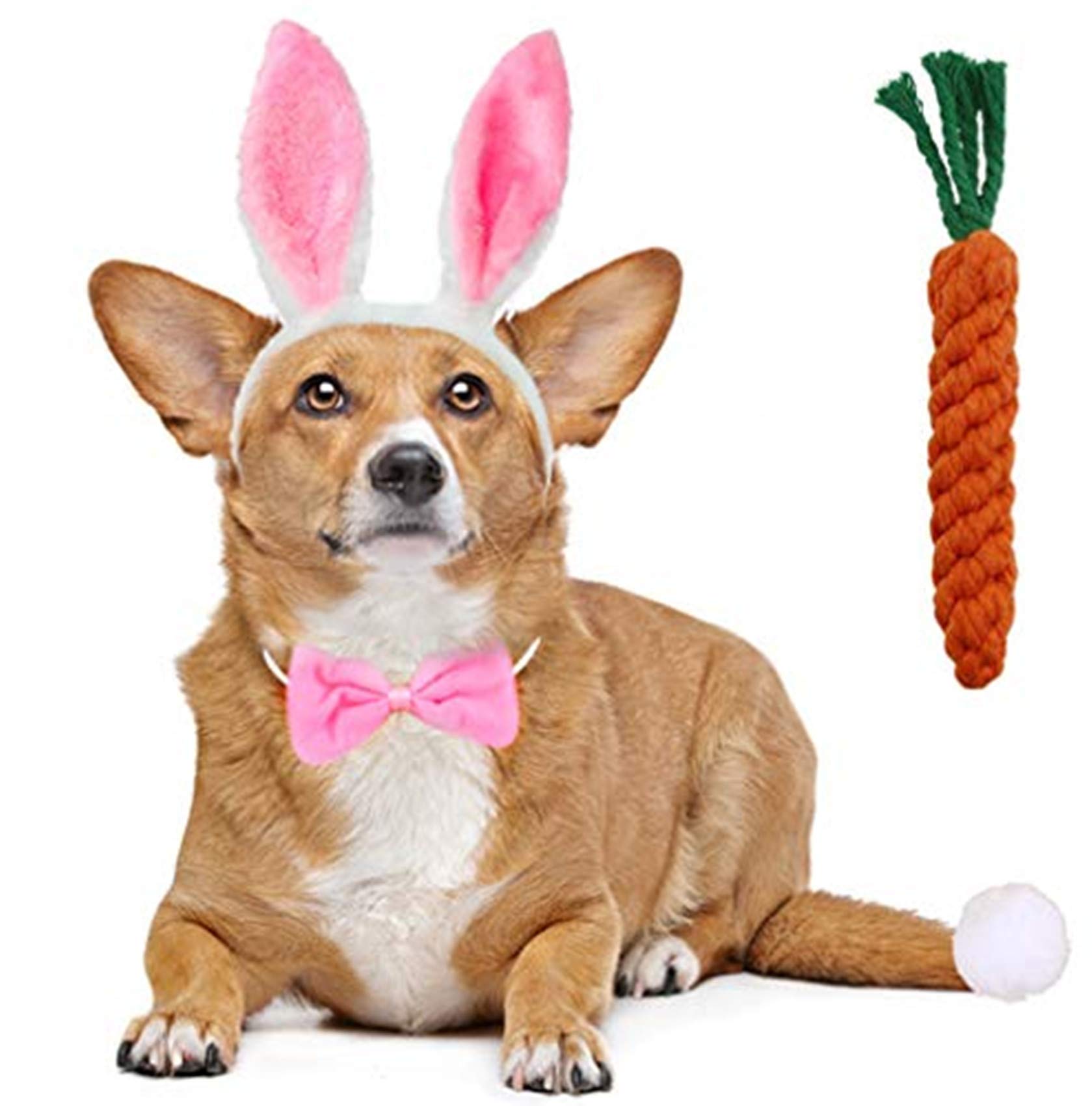 BoomBone Dog Bunny Ears and Easter Puppy Toy Kit,Doggie Easter Costume