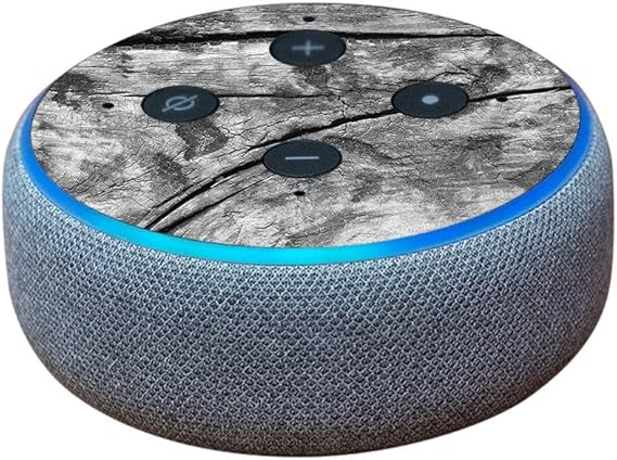 amazon echo dead