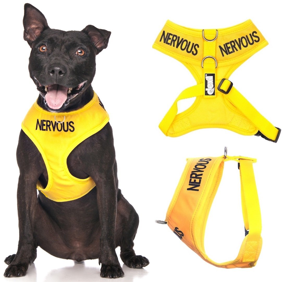 Dexil NERVOUS (Give Me Space) Yellow Colour Coded Non-Pull Front and Back D Ring Padded and Waterproof Vest Dog Harness PREVENTS Accidents By Warning Others Of Your Dog In Advance (M) โ image 1