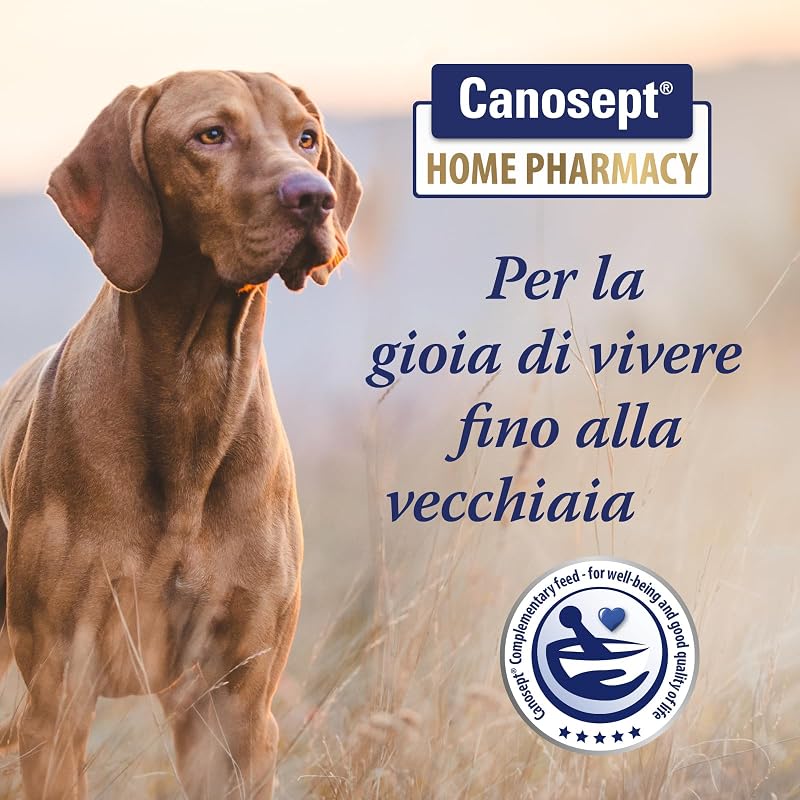 flora intestinale cane - probiotici per cani e prebiotici - enzimi digestivi - supporta i disturbi digestivi - rafforza la flora intestinale - probiotico digestivo per cani - 30 compresse