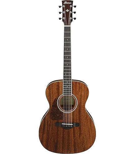 Amazon.com: Ibanez AW54 Left-Handed - Open Pore Natural : Musical