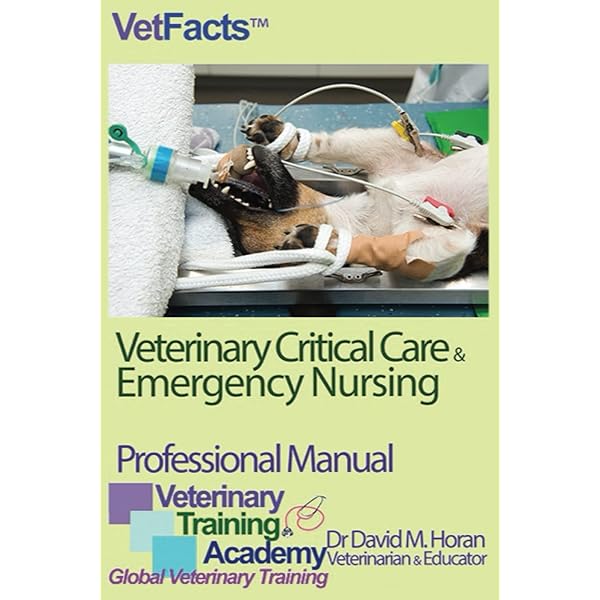 Current Veterinary Therapy: Food Animal Practice: 9781416035916