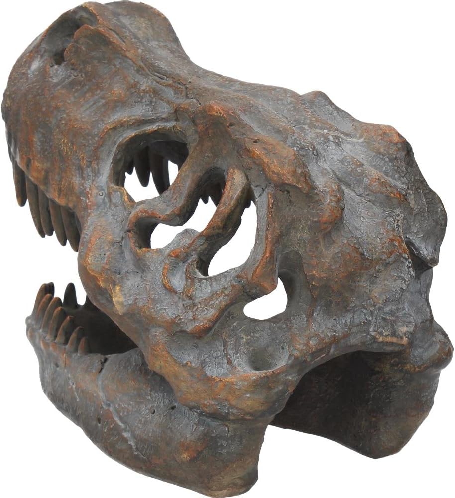 Nemesis Now Tyrannosaurus Rex Skull Freestanding Figurine 18.5cm Grey, 16cm - Image 5