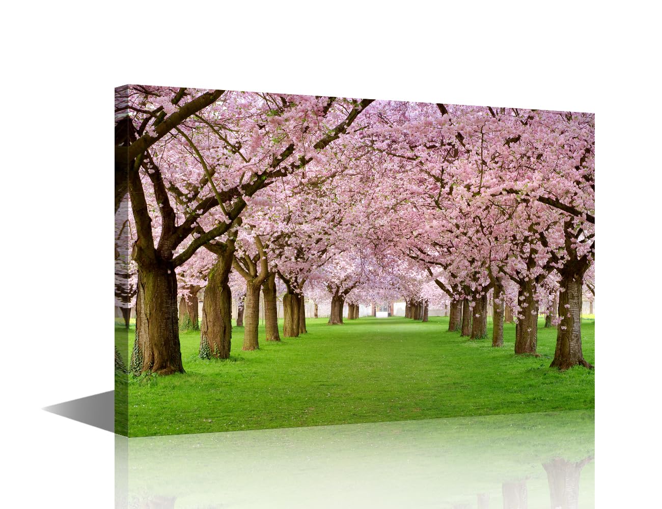 Bedroom Wall Decor Cherry Blossom Wall Art Outdoor Natural Landscape Contemporary Home Decor Wall Decorations for Living Room Bedroom Decor Artwork Framed Ready to Hang (24" Wx16 H)