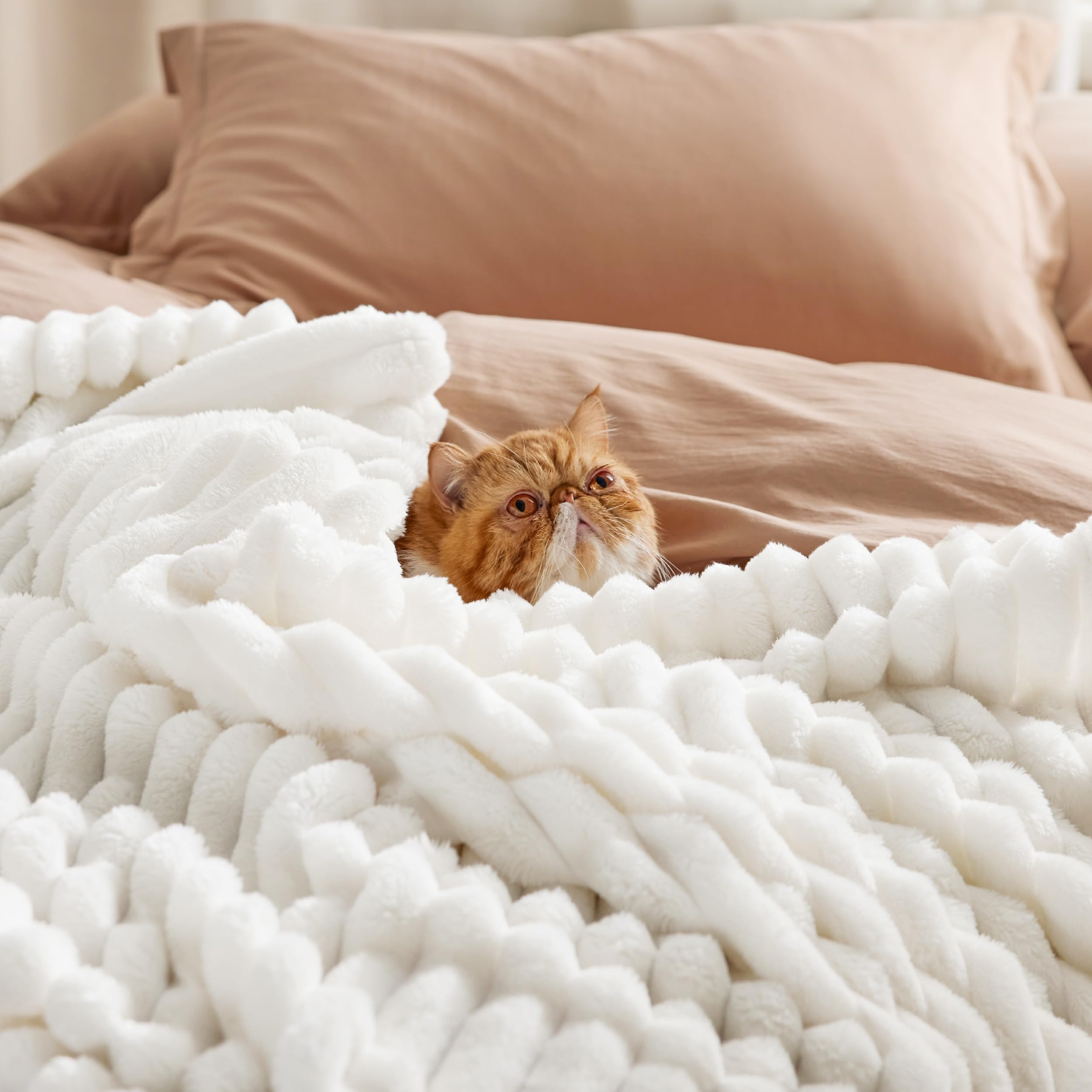 Bedsure GentleSoft Twin Blanket for Bed - Cozy Soft Blankets for Women, Cute Small Fleece Throws for Girls, Graduation Decorations Gift for Her Him School Dorm, Off White, 60x80 Inches