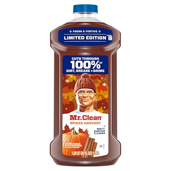 MR. CLEAN ALL PURPOSE CLEANER, CLEANING LIQUID, SPICED HARVEST, 41OZ