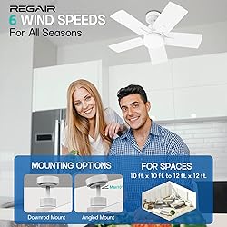 Regair Small Ceiling Fan With Light 32 Inch, Remote