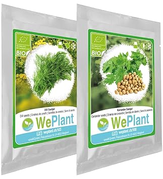 BIO Dill & Koriander Pflanzen-Samen Set - indoor/outdoor