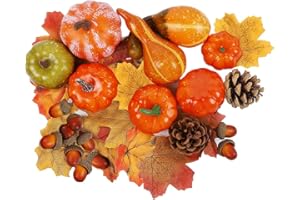 winemana Thanksgiving Fall Decorations for Home-6pcs Mini Pumpkins & 2pcs Gourds, 30pcs Leaves & 10pcs Acorns, 2pcs Pinecones Centerpiece Set-Harvest Decor for Table Mantel (Largest: 4.5" x 2.1")