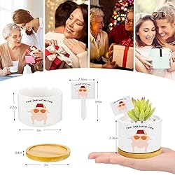 Funny TV Show Planter Pots,TV Show Merchandis Gifts