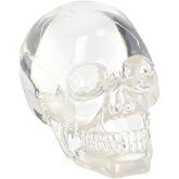 Clear Translucent Skull Collectible Figurine