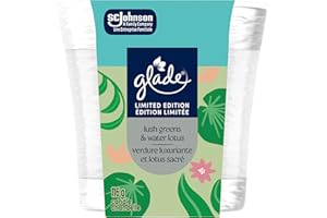 Glade® Scented Candle Air Freshener, Lush Greens & Water Lotus, 1-Wick Candle