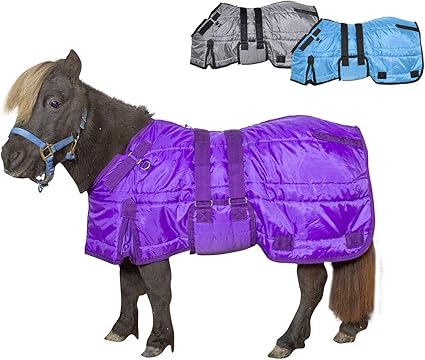 Challenger 56 1000d Miniature Weanling Pony Foal Horse Winter Blanket Bellyband 51933b