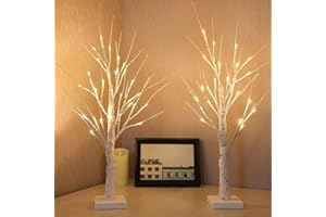 SANJICHA 2-Pack 2FT Lighted Birch Tree with Timer for Christmas Decorations Indoor, Artificial Birch Tree with 48 LED Warm White Lights, Fairy Light Tabletop Centerpiece Tree for Christmas Winter Deocrations