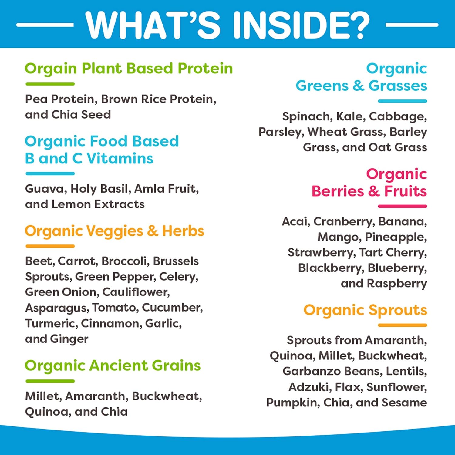 Orgain Organic Plant Based Protein + Superfoods Powder, Vanilla Bean - Vegan, Non Dairy, Lactose Free, No Sugar Added, Gluten Free, Soy Free, Non-GMO, 2.02 Lb: Grocery & Gourmet Food