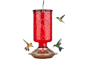 BOLITE Hummingbird Feeder, 18005 Glass Hummingbird Feeders for Outdoors Hanging, 5 Feeding Stations, 22 Ounces, Red Bottle