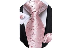 DiBanGu Silk Paisley Ties for Men Classic Extra Long Paisley Necktie Handkerchief Cufflinks Set Mens Gift Tie Set