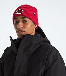 THE NORTH FACE TNF Logo Box Cuffed Beanie | Classic