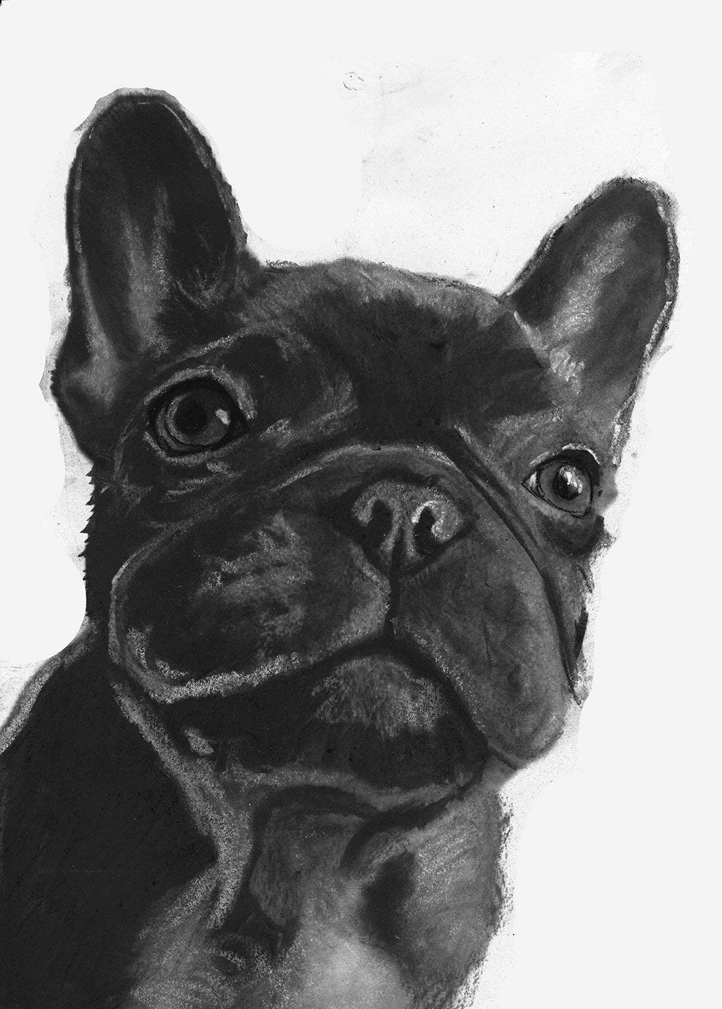 King French Bulldog Art Print