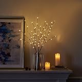 Eambrite 3 Pack 76cm Twig Lights with Ground Stakes Warm White LEDs view 5