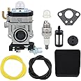 Hipa 300486 43cc Carburetor for Earthquake tiller MC43 E43 WE43 E43CE E43WC Auger MC43E MC43CE MC43ECE MC43RCE Tiller Cultivator MD43 WE43E WE43CE Edger 3004156 Filter
