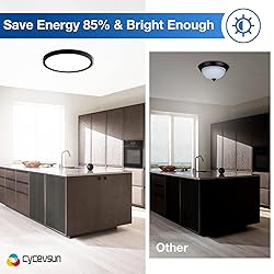 CycevSun 12 Inch Black Flush Mount Ceiling