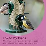 Extra Select Sunflower Hearts Bird Food Husk-Free High Energy 3 Litre Bucket view 4