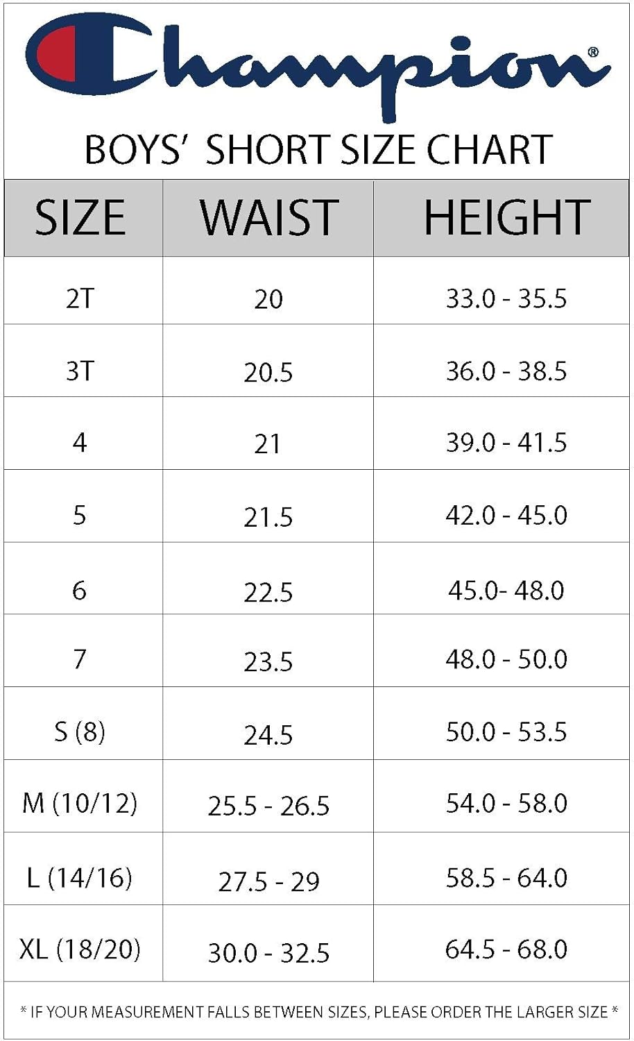Champion Boys Hertiage Script Mesh Short: Clothing