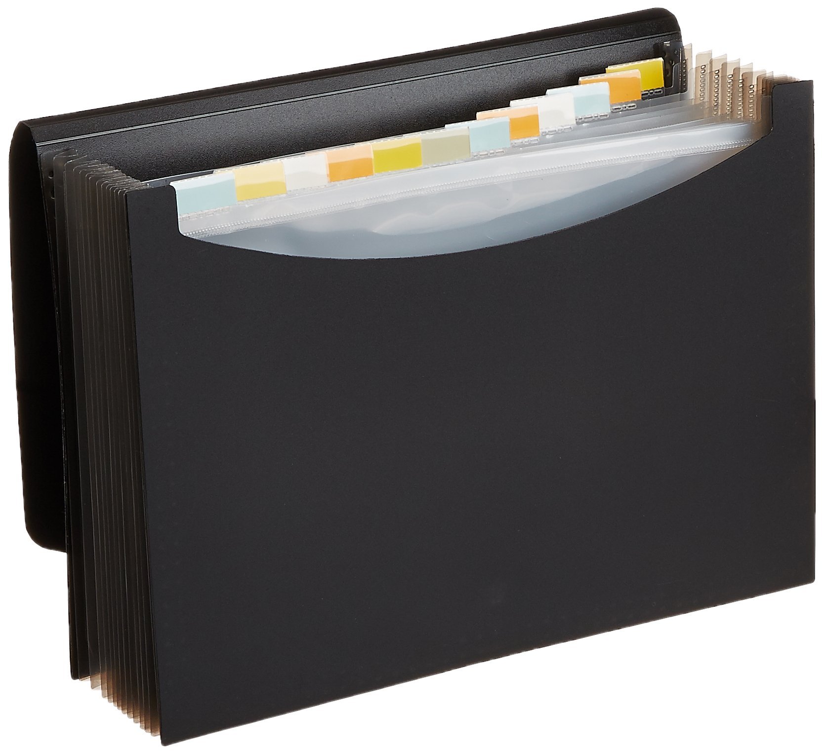 AmazonBasics-Expanding-Organizer-File-Folder-Letter-Size
