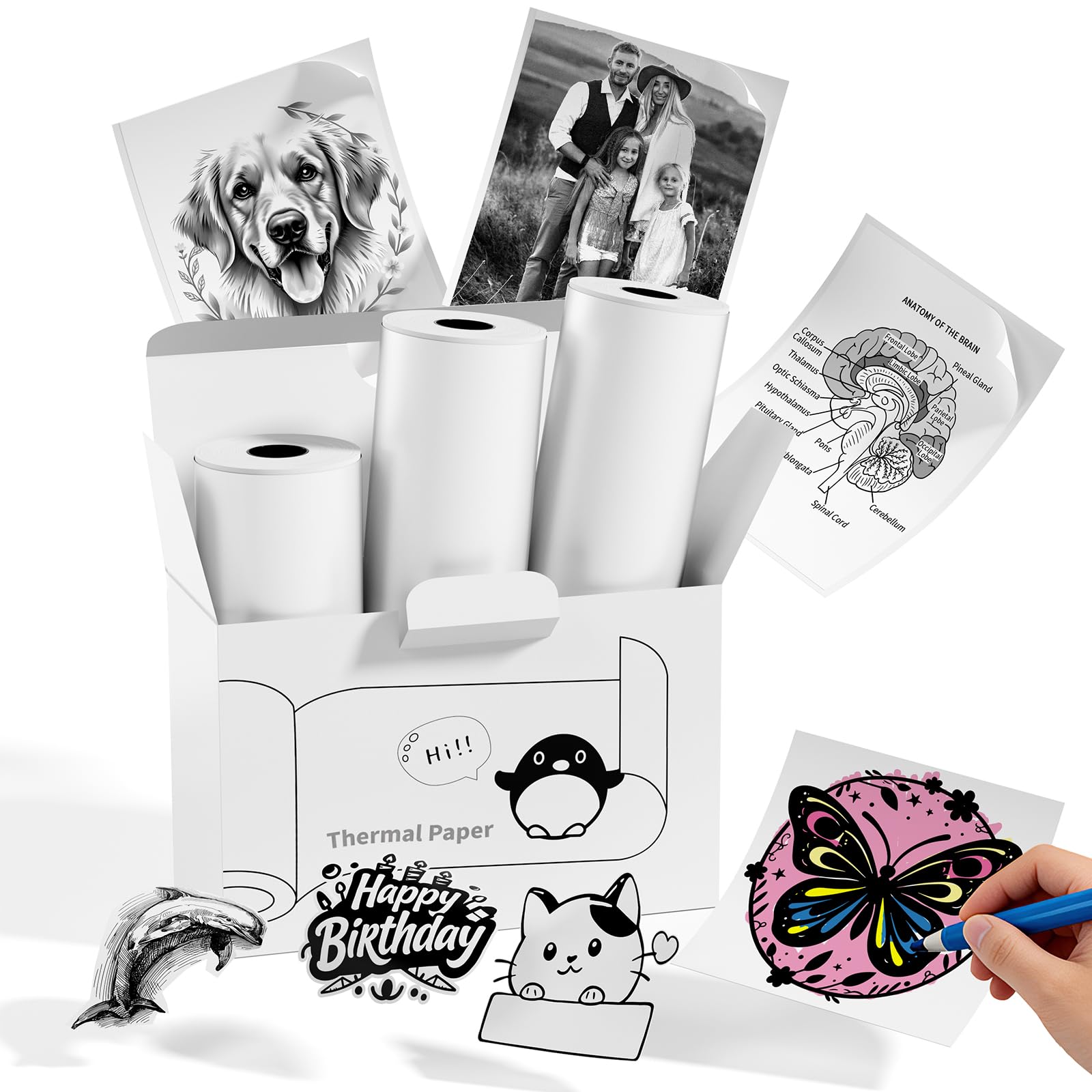 Memoking T02 Genuine Thermal Sticker Paper Refill - for T02, Q02E, M02X, M02L Mini Printer, 10-Year Image Life, 50mmx3.5m, Waterproof Sticky Labels for Journal, Texts, Study Graphics, 3 Rolls, White