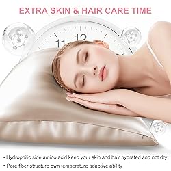 Mulberry Silk Pillow Cases 2 Pack Standard Size