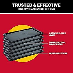 Catchmaster Rat, Snake and Mouse Traps 6Pk, Large