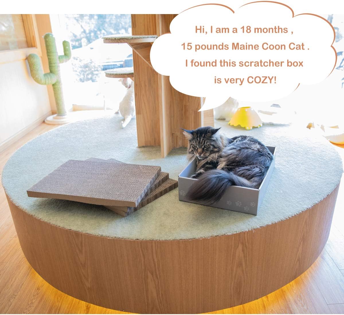 WellQ 12" XL Wide Cat Scratcher Cardboard 4PCS Reversible Cardboard Cat Scratching Pads with Cat Scratcher Box… : Pet Supplies