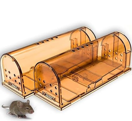 Amazon Com Big Store Rodent Trap Live Catc Release Kids Pet Safe
