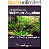 How to Maintain Your Freshwater Aquarium