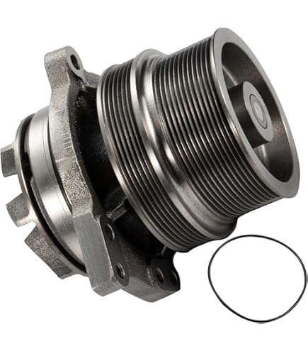 Amazon.com: Neeseelily Water Pump 4366039 5580047 4327408