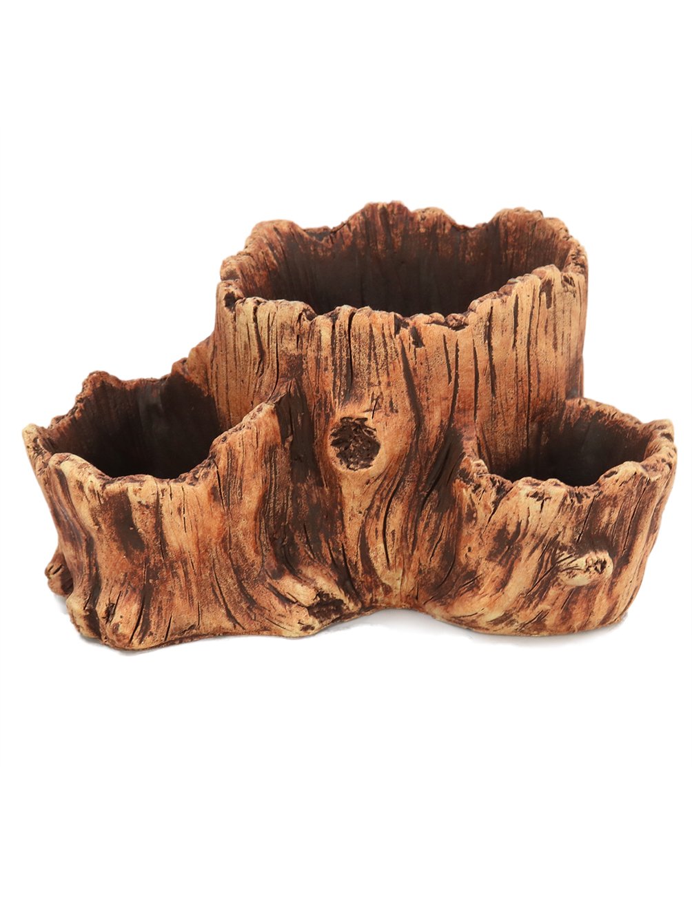 Best Bonsai Garden Box