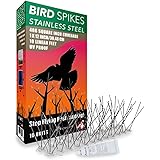 Aspectek Stainless Steel Bird Spikes Kit, 10 Feet with Transparent Silicone Glue