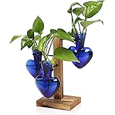 CYZglass Plant Terrarium Propagation Stations with Wooden Stand, Glass Vase for Indoor Hydroponics Home Garden Office Decoration Gift for Women - 4 Love Bulb Vase