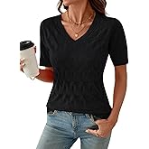 IECCP Womens Short Sleeve Sweater V Neck Summer Tops Lightweight Knit Pullover Blouses Business Casual Outfits