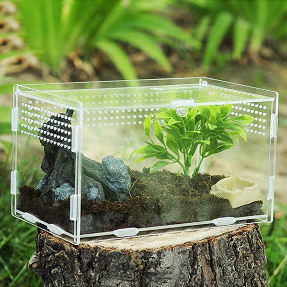 Scatola Commemorativa Per Animali Domestici In Legno Di Pino Con Cerniere In Metallo - Porta Ceneri O Ricordi, 16x11x9,5 Cm, Personalizzabile - 3