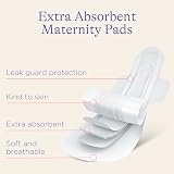 Lansinoh Maternity Pads with Wings Extra Absorbent Pack of 10 view 3